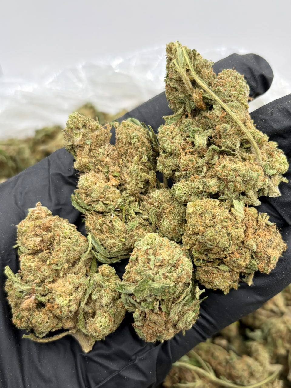 Sour Diesel (S)