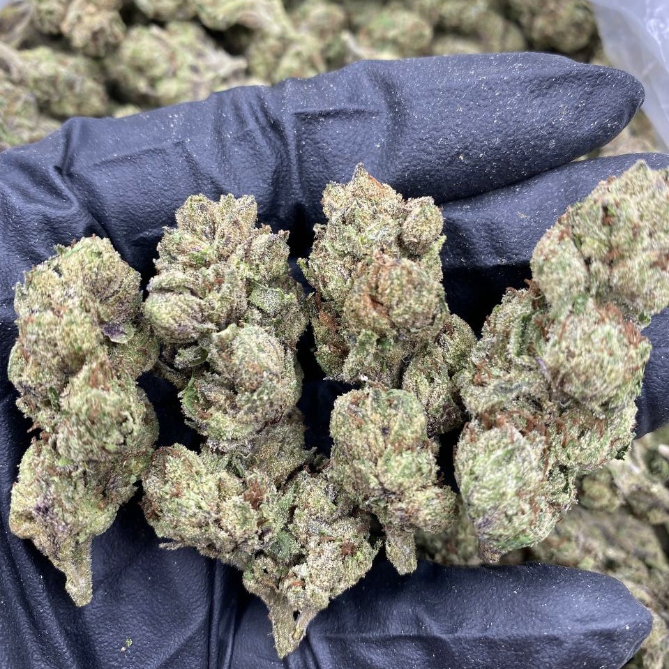 Fire Runtz (H) (28g)