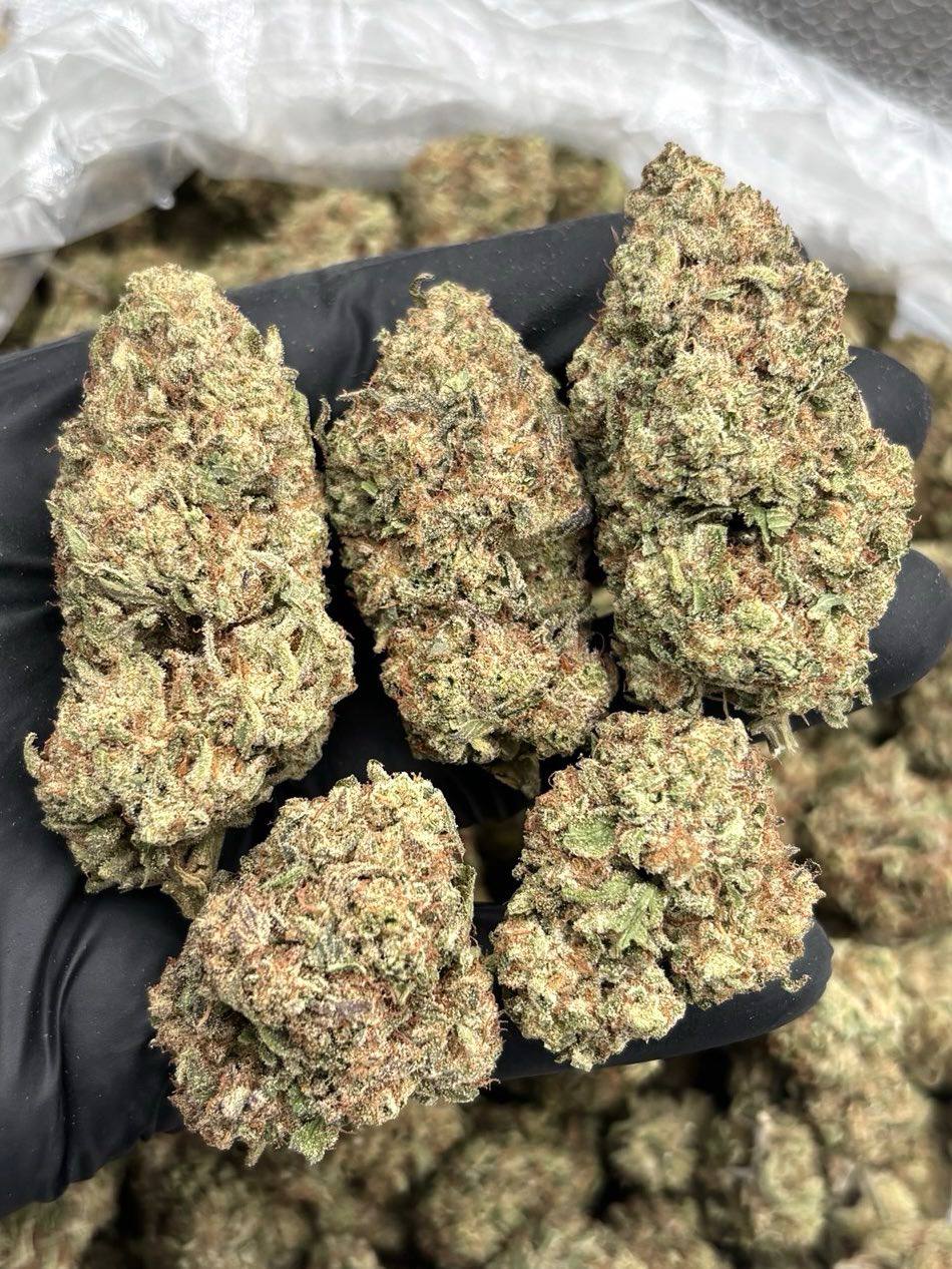 Orange Sherb (S)(28g)