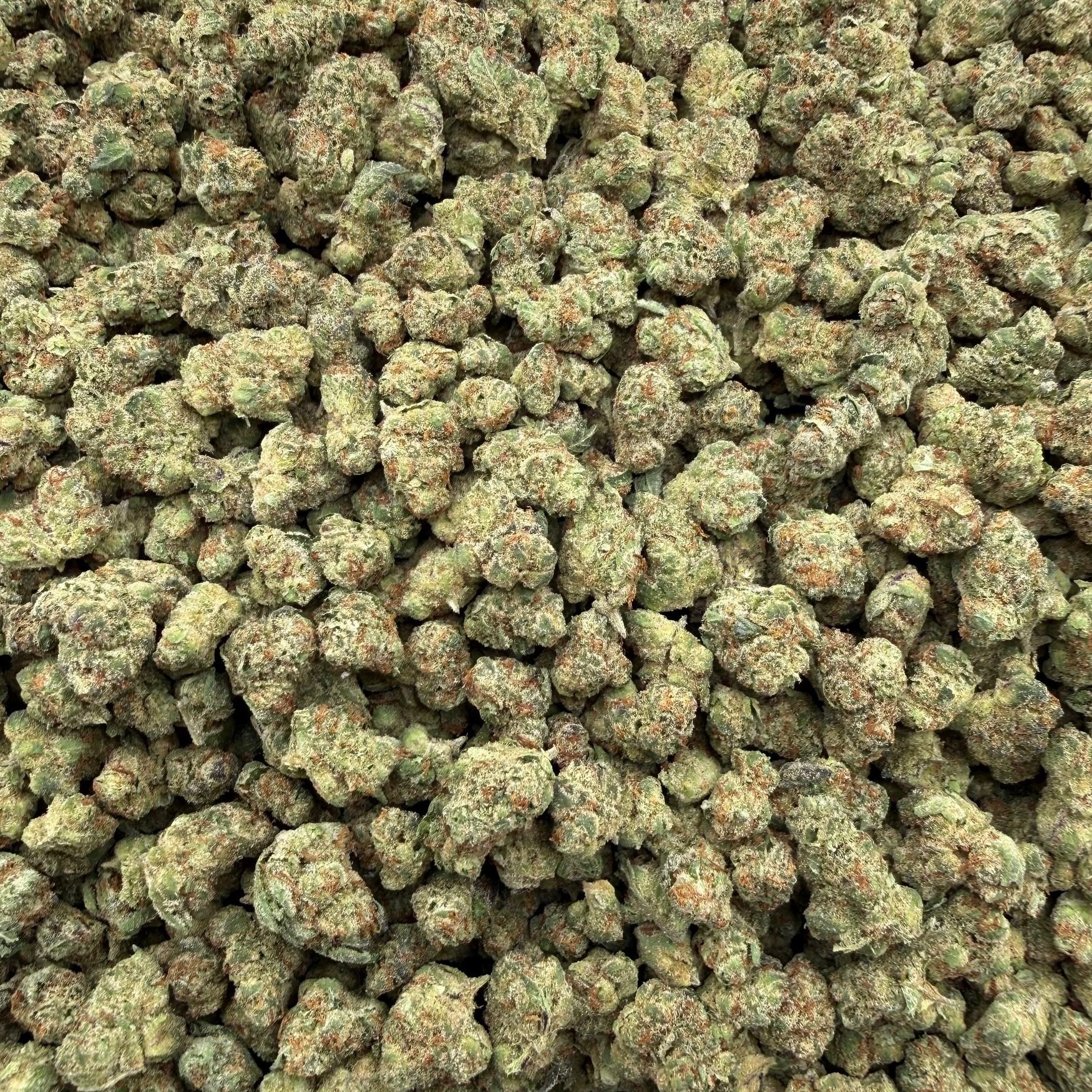 Blue Caviar (S)(28g)
