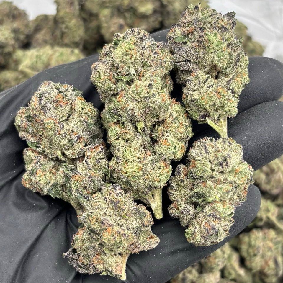 Blue GMO (I)