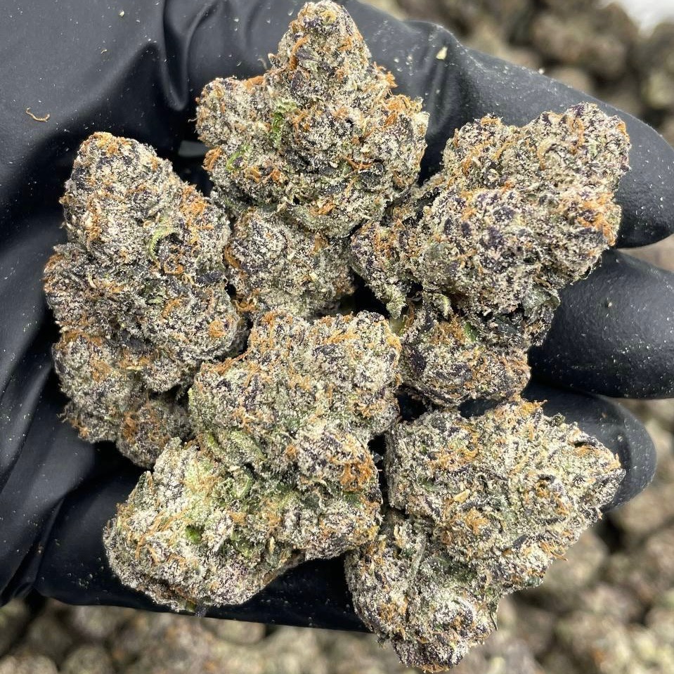 Frosted Candy Runtz (H)