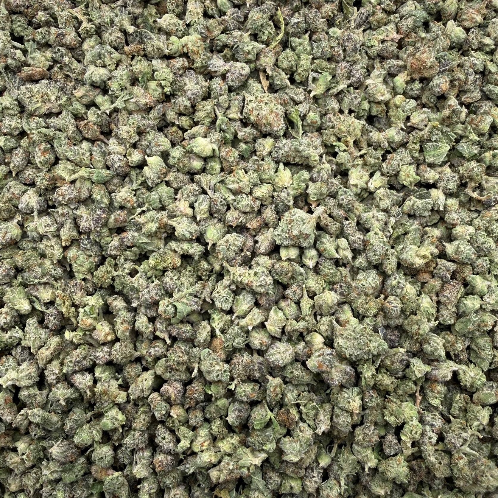 Grape Candy Crème Smalls (I)(28g)
