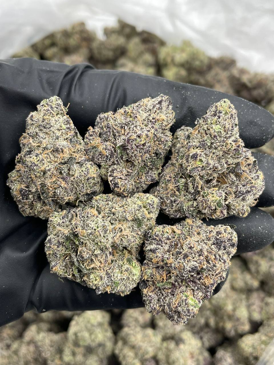 Rainbow Smarties (H)