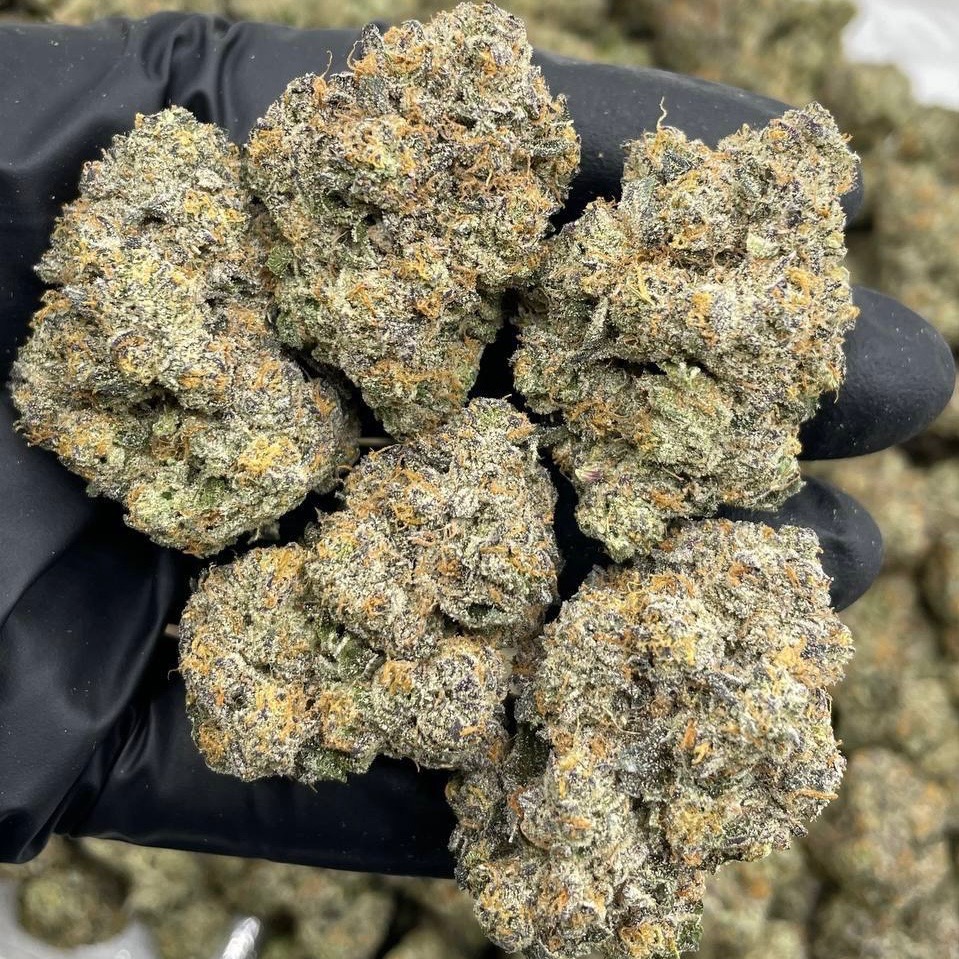 Girl Scout cookies (H)