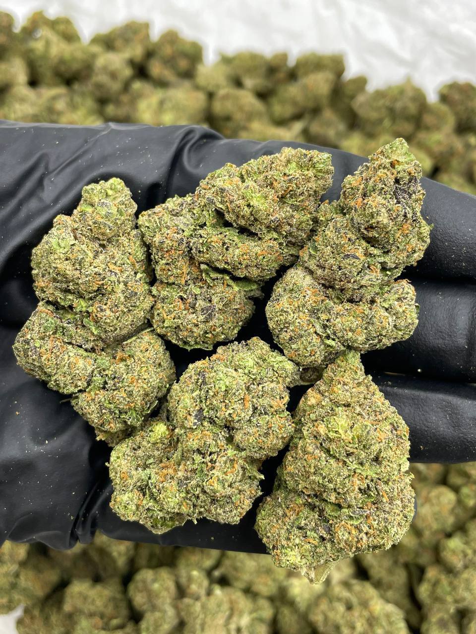 Guava Gushers (I)