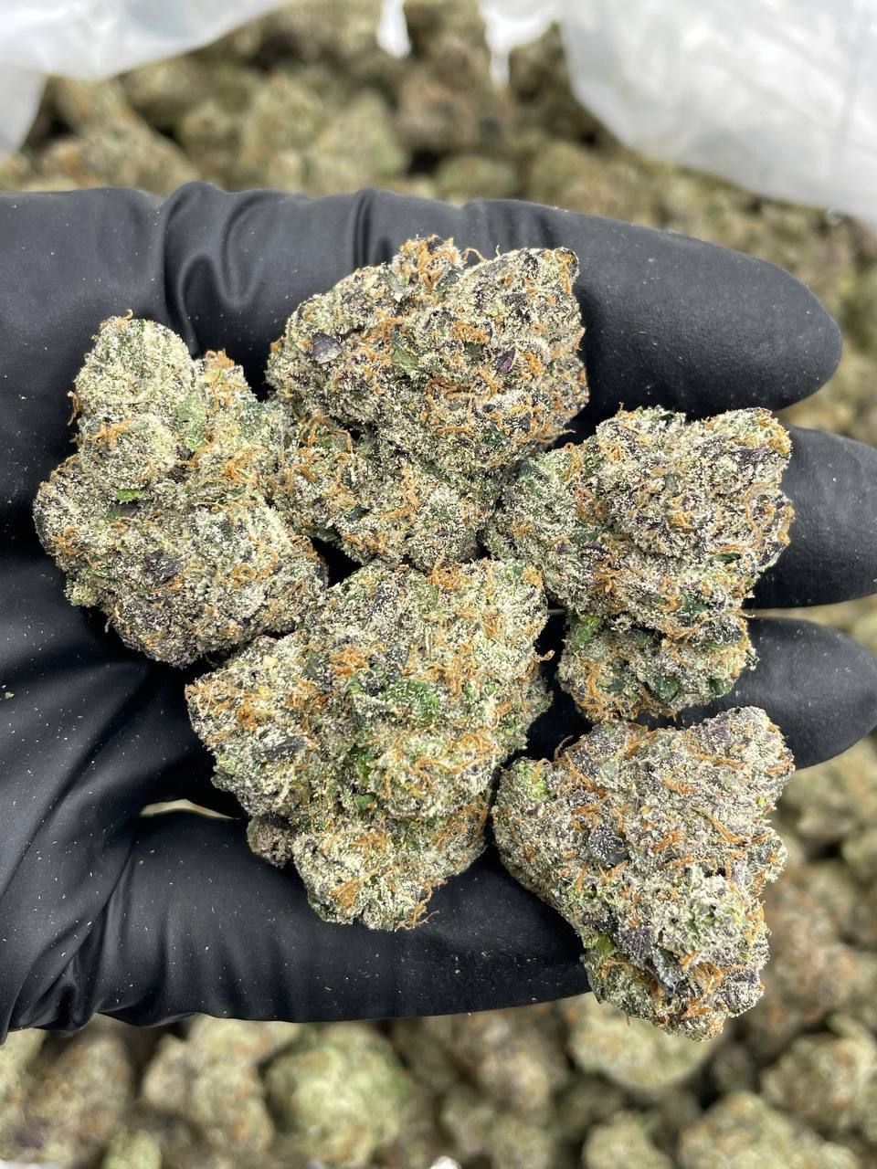 Hood Candy (I)
